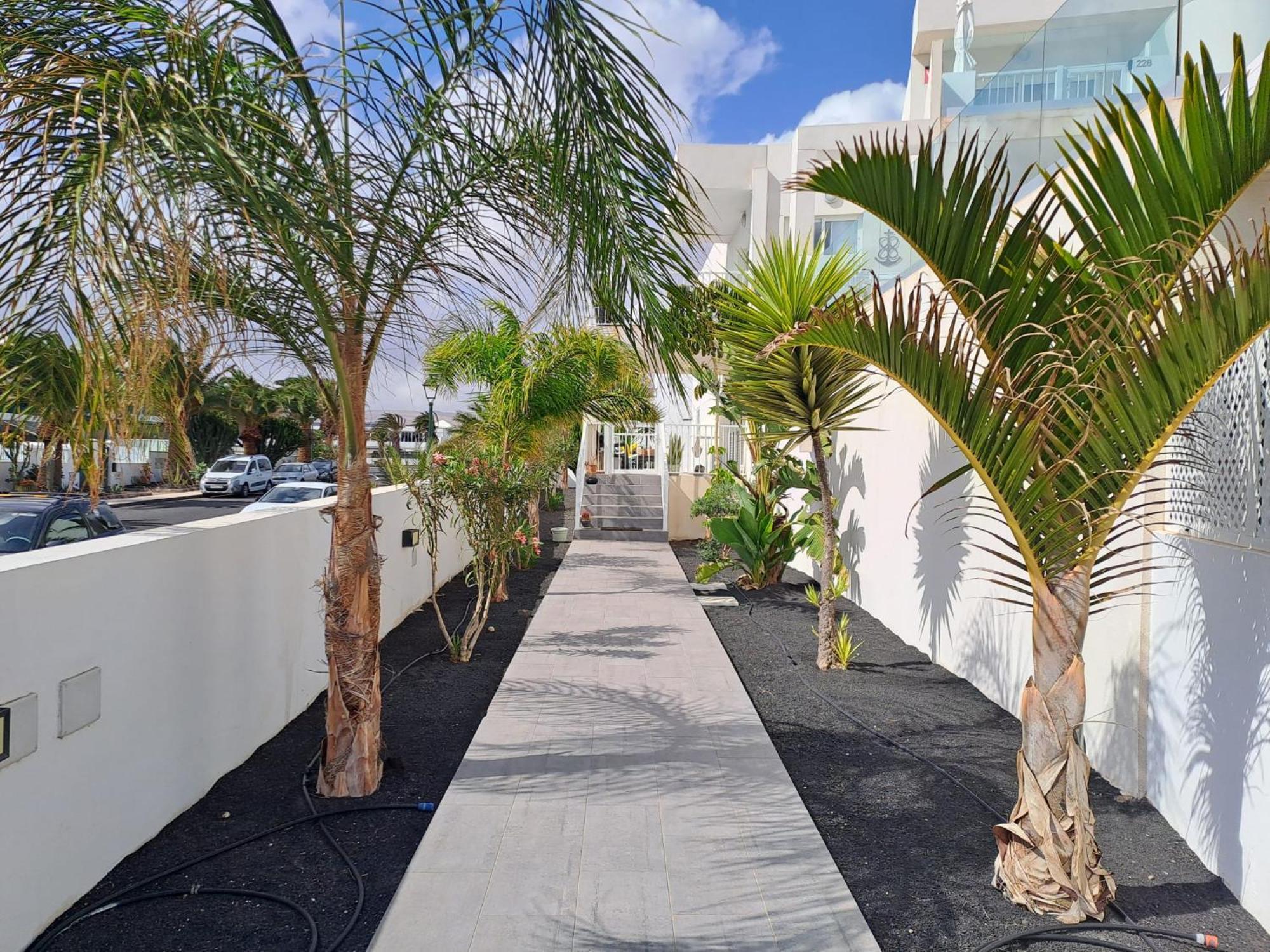 Luxury Sea View Senator Lanzarote Apartment Costa Teguise Ngoại thất bức ảnh